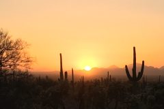 Tucson-Sunset-Nick-Gerlach-scaled
